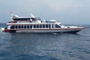 Transfer Fast boat Bali to Gili islands / Lombok