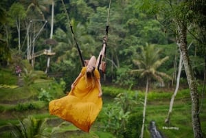 Ubud: Wycieczka po tarasach ryżowych, świątyni wody święconej i wodospadach