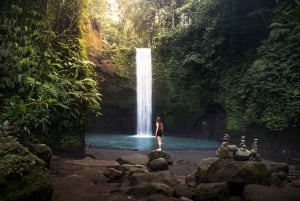 Ubud: Reisterrasse, Tempel des heiligen Wassers und Wasserfälle - Trekking Tour