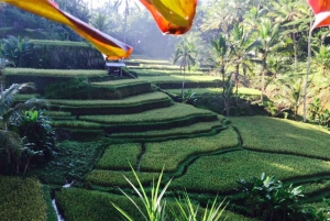 Ubud & Vulkaan Warmwaterbronnen Tours