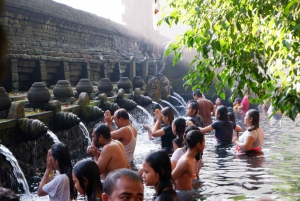 Tours in Ubud & Vulkaan Hot Springs