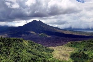 Ubud och varma källor vid vulkanen