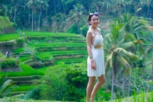 Ubud-fossen, risterrasse og Tirta Empul-tempelet