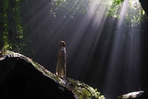 Ubud-fossen, risterrasse og Tirta Empul-tempelet