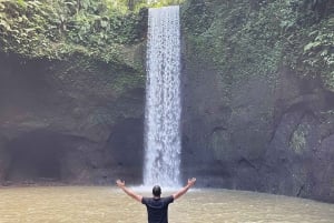 Cascata di Ubud, terrazza del riso e tempio di tirta empul