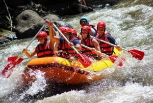 Circuit d'aventure ultime à Bali : Découvrez les sensations fortes de Bali