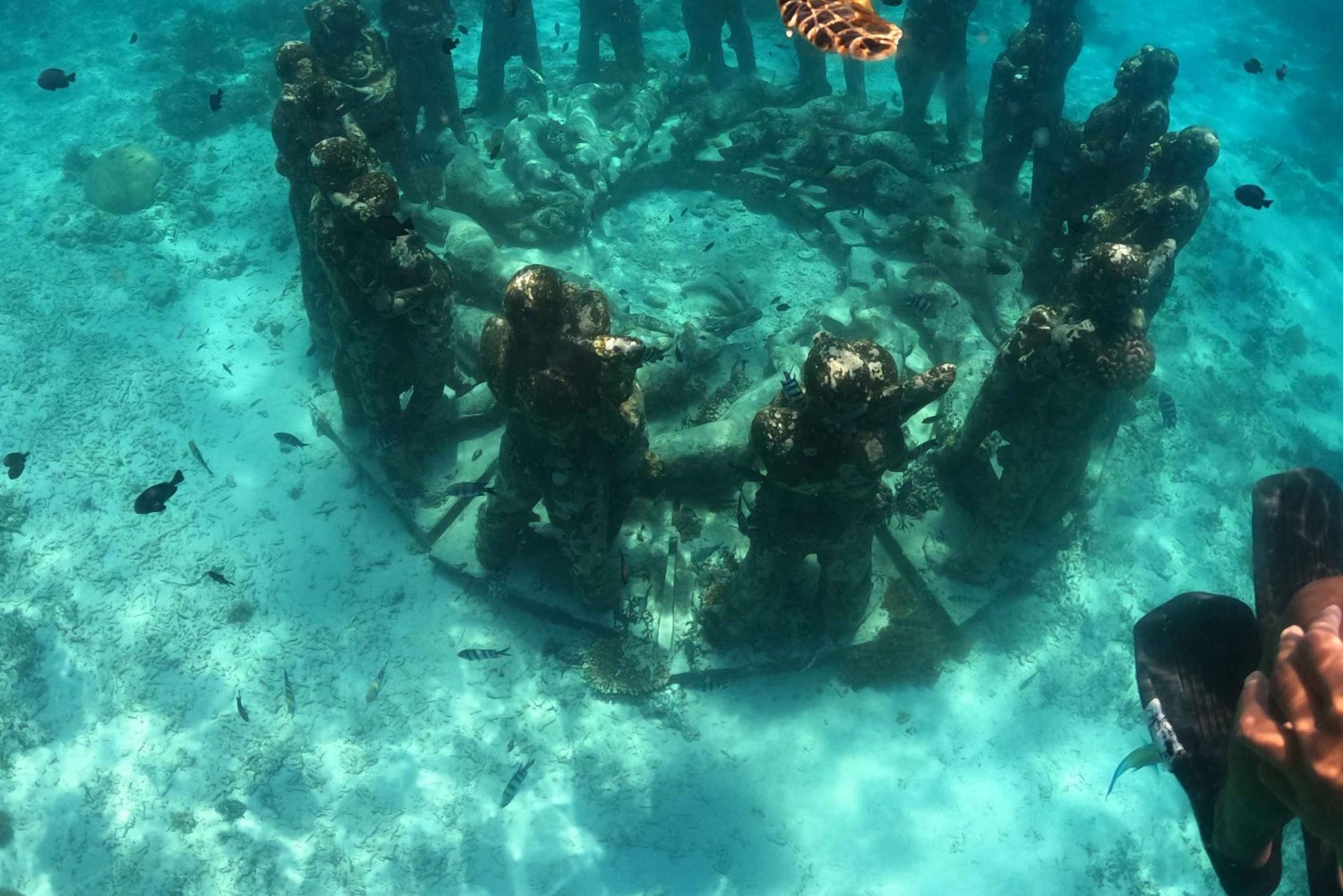 Ultimativer Schnorchelausflug zu den Wundern der Gili-Inseln