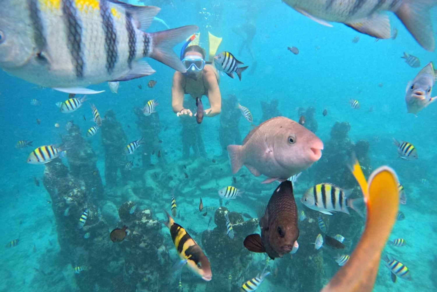 Ultimate Snorkeling Escape to the Wonders of Gili Island