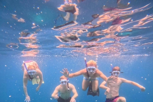 Ultimativer Schnorchelausflug zu den Wundern der Gili-Inseln