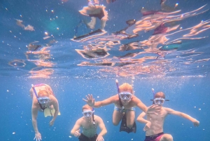 Ultimate Snorkeling Escape to the Wonders of Gili Island