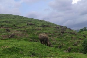 Bykultur och natur sasak tour