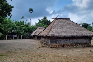 Odwiedź wioskę plemienia Lombok Sasak, wodospad i wzgórze Selong