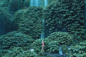 Visite de la cascade, du village, de la plage et de la colline Journée complète