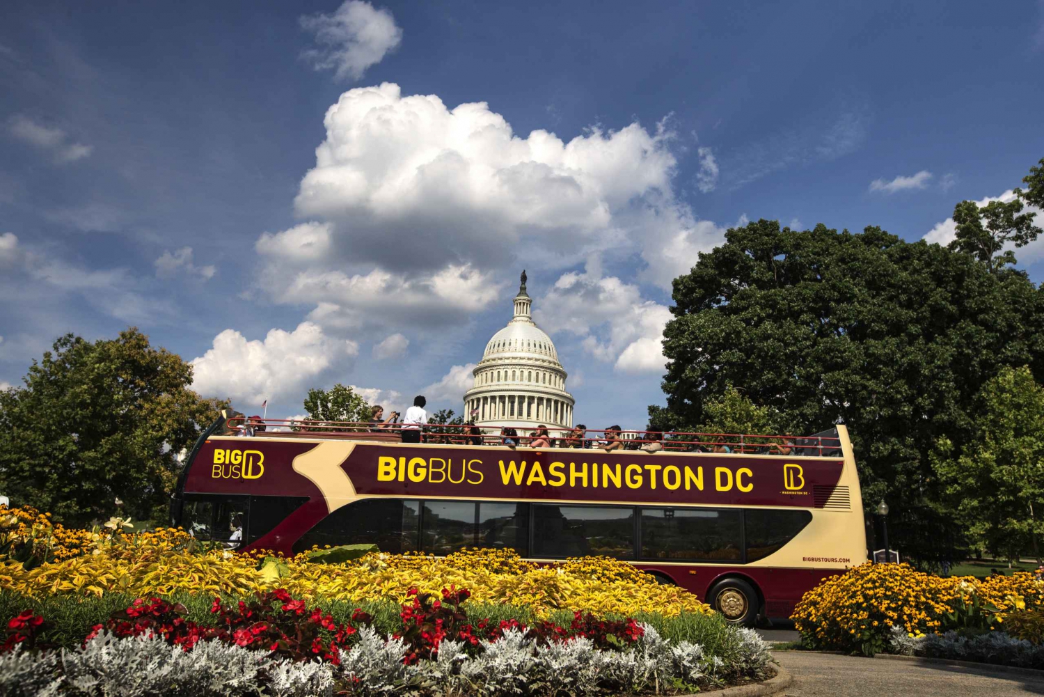 Washington DC: Hop-On, Hop-Off Open-Top Bus Landmarks Tour