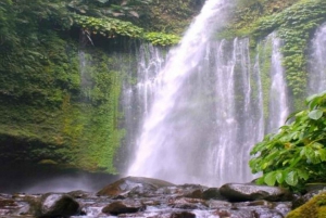 Waterfal Tour North Lombok ( Sendang Gile & Tiu Kelep )