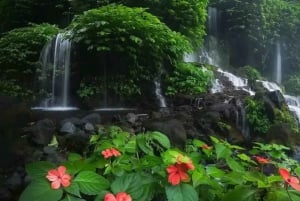 Chute d'eau Benang Kelabu et marche dans les rizières