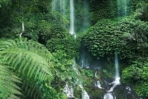 Cachoeira Benang Kelabu e caminhada no campo de arroz