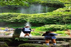 Waterval Benang Kelabu & Wandelen op het Rijstveld