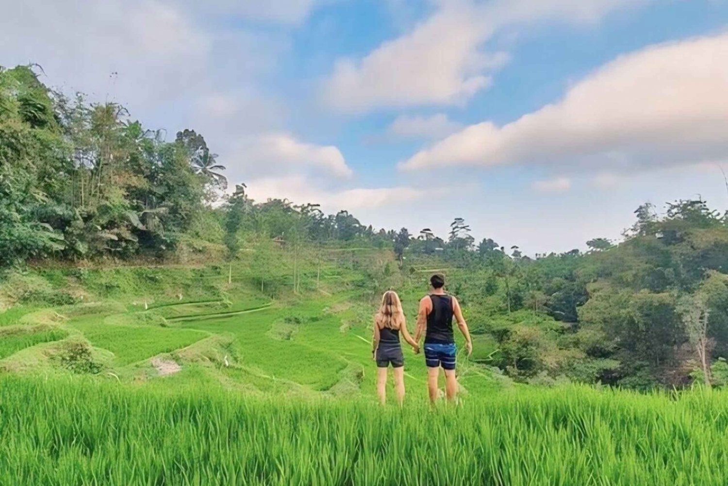 Tetebatu : Cascada, arrozales y bosque de monos Día completo