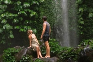 Tetebatu : Chute d'eau, rizières et forêt de singes Journée complète