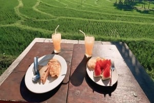 Tetebatu: waterval, rijstvelden & apenbos Hele dag