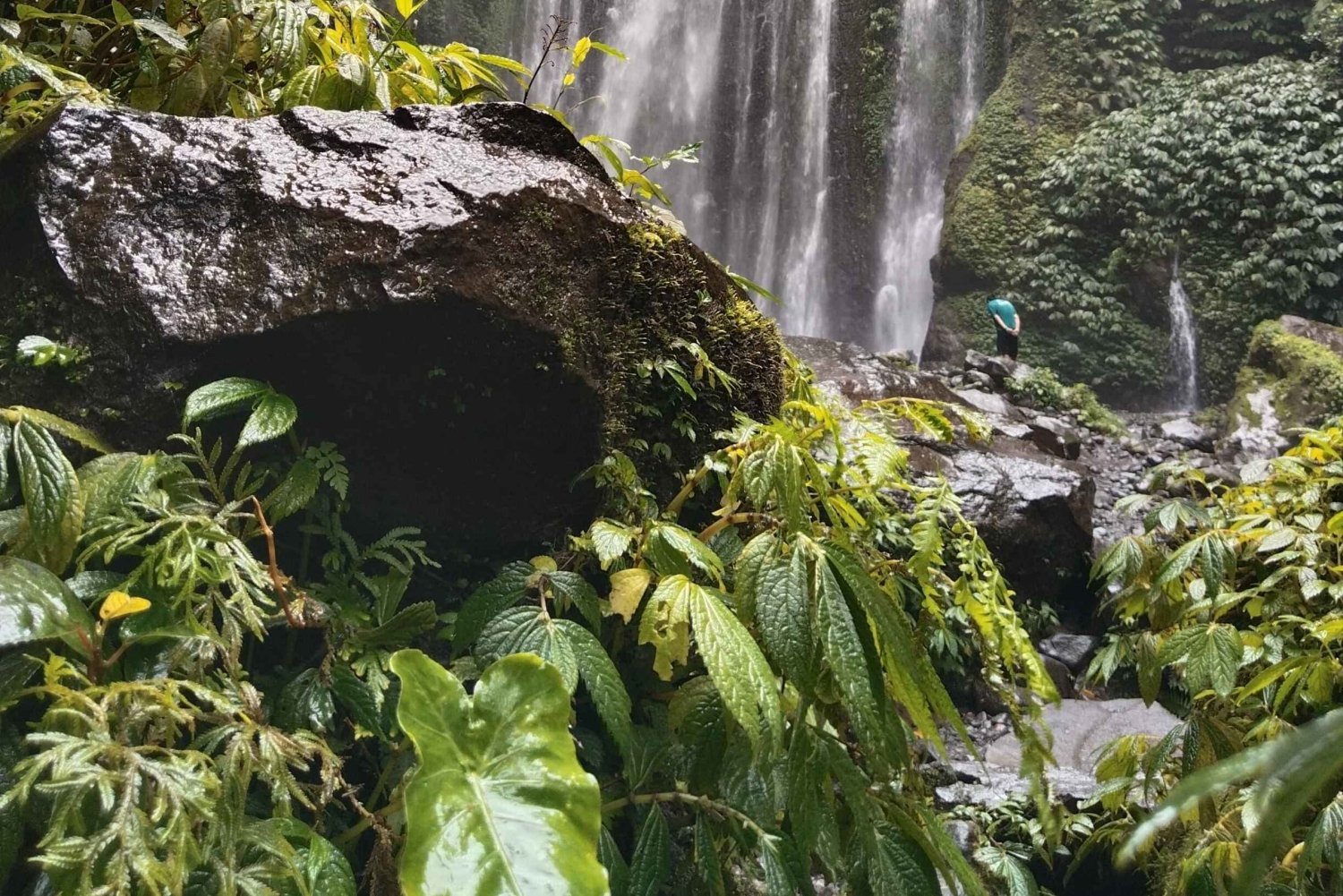 ロンボクの驚異:滝、村、ワイルドライフパークツアー