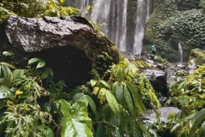 ロンボクの驚異:滝、村、ワイルドライフパークツアー