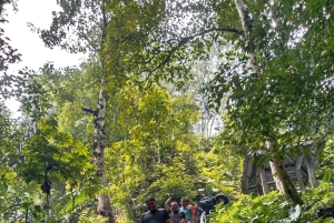 ロンボクの驚異:滝、村、ワイルドライフパークツアー