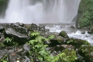 ロンボクの驚異:滝、村、ワイルドライフパークツアー
