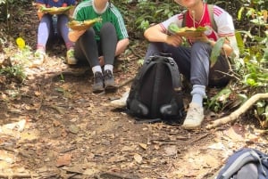 ロンボクの驚異:滝、村、ワイルドライフパークツアー