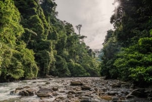 ロンボクの驚異:滝、村、ワイルドライフパークツアー