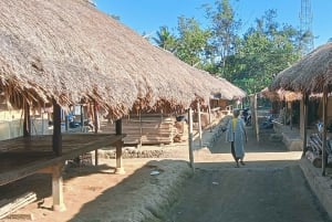 ロンボクの驚異:滝、村、ワイルドライフパークツアー