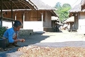 ロンボクの驚異:滝、村、ワイルドライフパークツアー