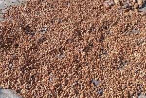 ロンボクの驚異:滝、村、ワイルドライフパークツアー