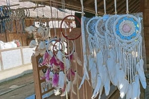 ロンボクの驚異:滝、村、ワイルドライフパークツアー