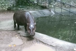 ロンボクの驚異:滝、村、ワイルドライフパークツアー