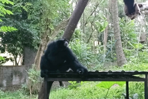 ロンボクの驚異:滝、村、ワイルドライフパークツアー