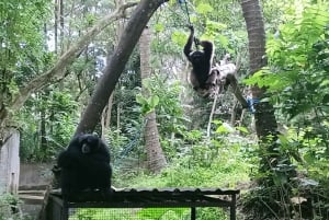 ロンボクの驚異:滝、村、ワイルドライフパークツアー