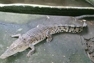 ロンボクの驚異:滝、村、ワイルドライフパークツアー