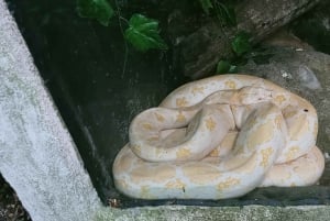 ロンボクの驚異:滝、村、ワイルドライフパークツアー