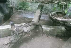 ロンボクの驚異:滝、村、ワイルドライフパークツアー