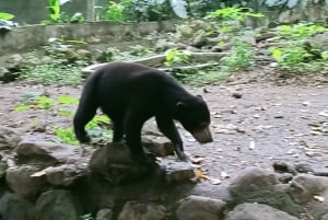 ロンボクの驚異:滝、村、ワイルドライフパークツアー