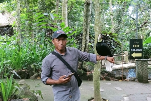 ロンボクの驚異:滝、村、ワイルドライフパークツアー