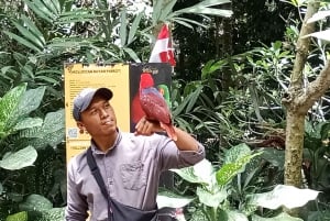 ロンボクの驚異:滝、村、ワイルドライフパークツアー