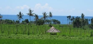 Nordlige Lombok
