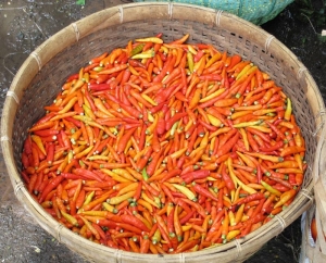 Basket of chilis