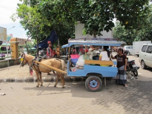 Cidomo at the market
