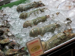 Fresh lobster