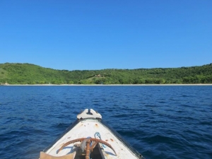 Pink Beach Landscape