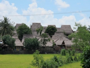 Sasak Village Rooftops